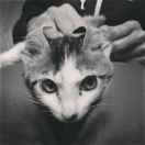 曉彬，😈 头像