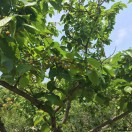 三岁开始帅 头像