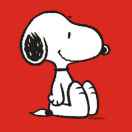 师父的小徒弟 头像