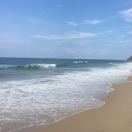 虎鲸鱼🐳 头像