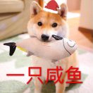 柴犬开始学习写字啦 头像