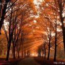 首席攻城师 头像