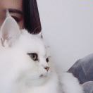 大可爱💕 头像