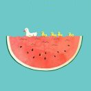 大西瓜 头像