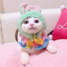 不会开挖掘机好丢脸 头像