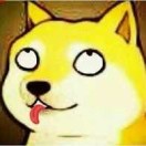 小虾闯大海 头像