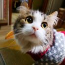 伊怡乙熠孙悦书 头像