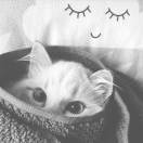 Smlie︶尐晴天° ✧ 头像