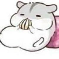 老雷要努力 头像