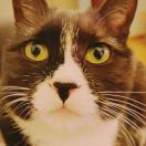 🦄 counting 头像