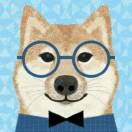 风一样的男人 头像