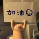 a雪河来客 头像