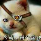 18岁的雷恩加尔 头像