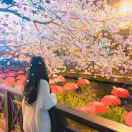 ☆雨林小镜☆ 头像