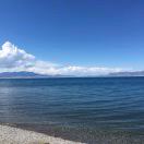 你上来晒太阳啊 头像