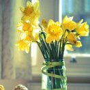 liuqing刘青青 头像