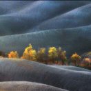 略微甜lwtian 头像