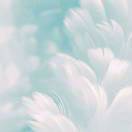 微风轻轻暖 头像