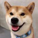 岁不我宇_Chrisyu 头像