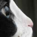 the true HOOHA 头像