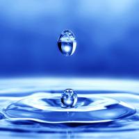 沧海一粟A 头像