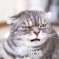 8023丶小小猪 头像