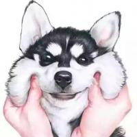 略略略😛 头像