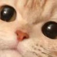 小橙子乖乖 头像