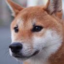 black🙈white 头像