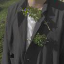 却道天凉好个秋 头像