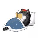 终于漫长岁月 头像