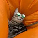 💮坏脾气的圆脸美少女 头像