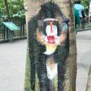 畅哥的楠瓜 头像