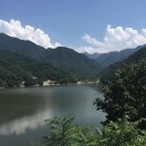 ^_^🍀 王贵锋 头像