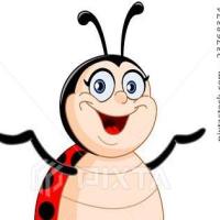 BUG无处不在 头像