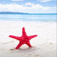 我家小片子 头像