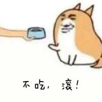 一只钢铁萝莉豹 头像