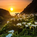 xiaokang yang 头像