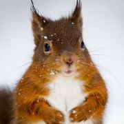 上海的咸鱼 头像