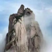 风一样的... 头像