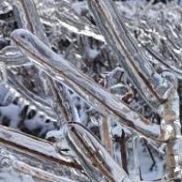 倚楼听风雨，淡看江湖路7673 头像