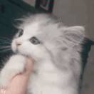 那只是一个梦 头像