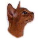 ﺭ🚲 樂於Qi中 头像