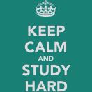 ChampionZhang 头像