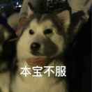 AnneLiu爱玲20 头像