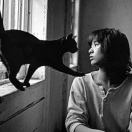 陈曦|WilliamChen 头像