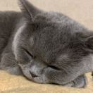 YeXunSzeTo🍃 头像