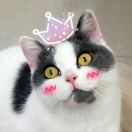 马蹄儿大跑得快🐈🐈🐈🐈 头像