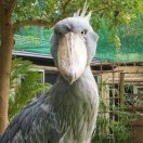 清晨的阳光…… 头像