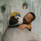 小燕 头像